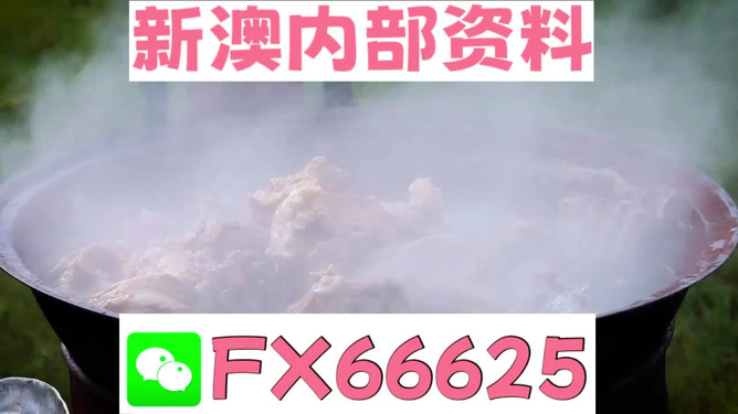 新澳全年免費資料大全，一站式獲取優(yōu)質(zhì)資源指南，新澳全年優(yōu)質(zhì)資源免費獲取指南