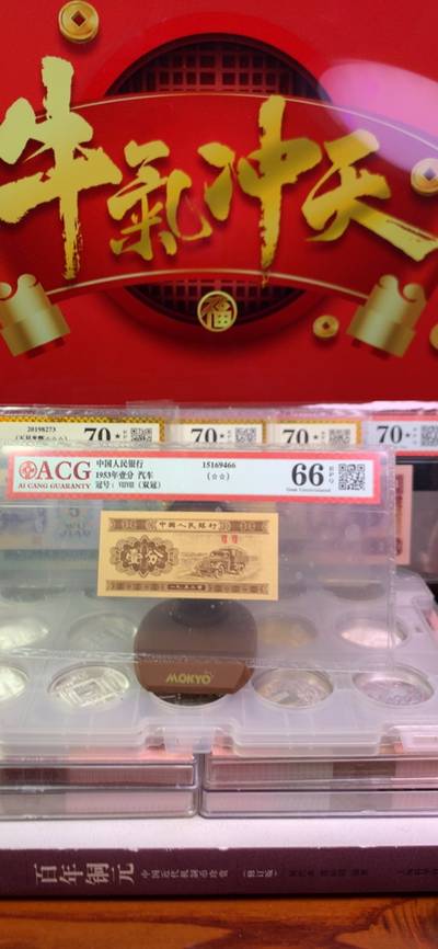 王中王一字一句拆一肖，深度解析背后的奧秘，王中王拆字揭秘，探尋背后奧秘揭曉生肖之謎