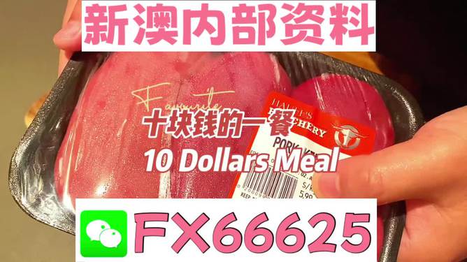 揭秘2025新奧精準正版資料，全方位解讀與SEO優(yōu)化策略，揭秘2025新奧精準正版資料，全方位解讀與SEO策略優(yōu)化指南