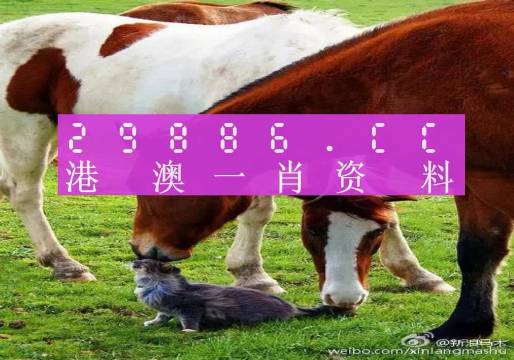 新奧門一肖一碼，揭秘精準(zhǔn)預(yù)測的秘密，揭秘新澳門一肖一碼精準(zhǔn)預(yù)測的秘密