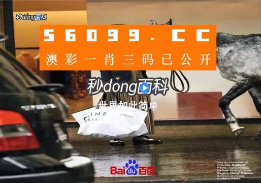 新澳一碼三中三資料，探索與解析，新澳一碼三中三資料解析與探索