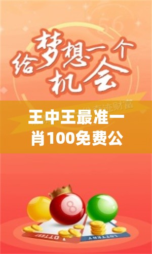 王中王一肖一嗎期期中，深度解析與探索，王中王一肖一，深度解析與探索期中的奧秘