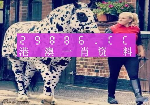 澳彩平肖王中王，一笑一碼的秘密與SEO優(yōu)化策略，澳彩平肖王中王，揭秘一笑一碼背后的SEO優(yōu)化策略
