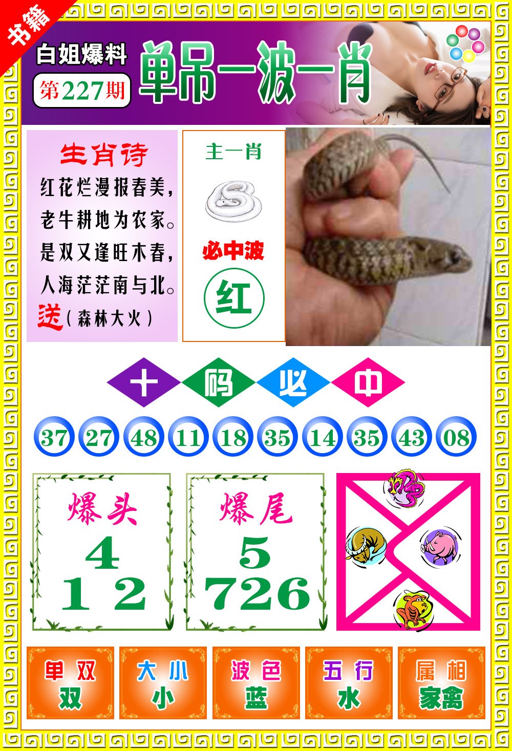 王中王免費(fèi)開獎(jiǎng)一肖結(jié)果，揭秘彩票背后的秘密，揭秘王中王彩票開獎(jiǎng)內(nèi)幕，一肖結(jié)果背后的秘密揭曉