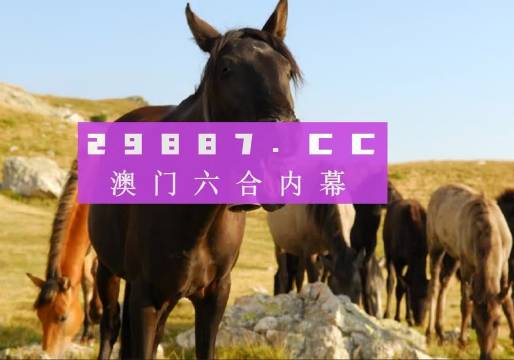 澳門管家婆一肖一碼一中一，揭秘與解析，澳門管家婆一肖一碼揭秘與解析