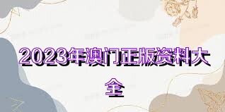 澳門資料大全正版資料查詢，探索澳門的文化與歷史深度之旅，澳門文化與歷史深度探索，正版資料大全及查詢指南