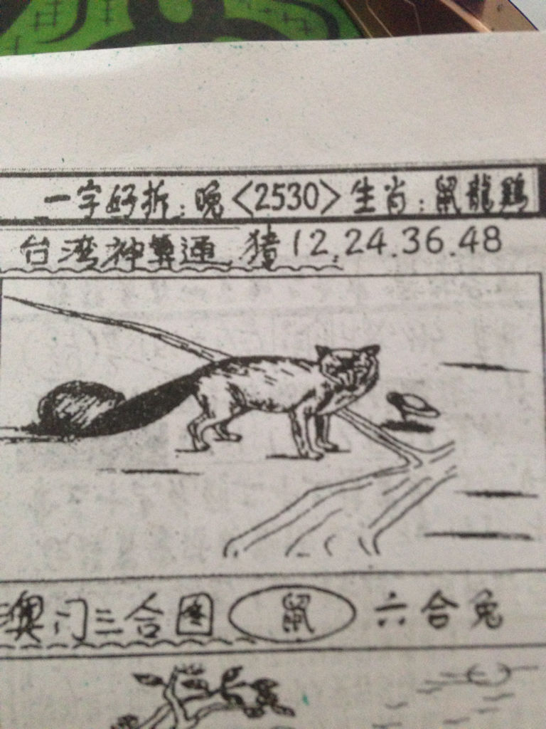 生肖奧秘 第2頁