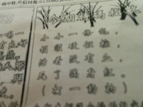 揭秘劉伯溫的一肖一特，探尋神秘傳奇背后的真相，劉伯溫傳奇揭秘，揭秘生肖之謎與獨特特質背后的真相