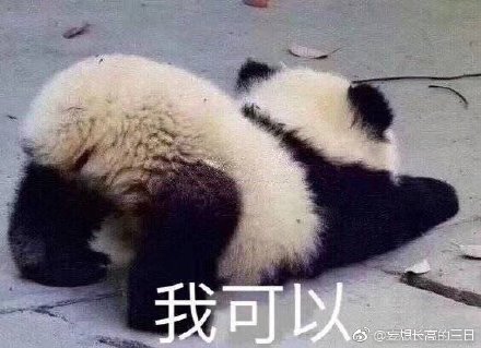 揭秘劉伯溫特一肖與四不像的神秘面紗——探尋背后的故事與真相，劉伯溫特一肖與四不像背后的故事與真相揭秘