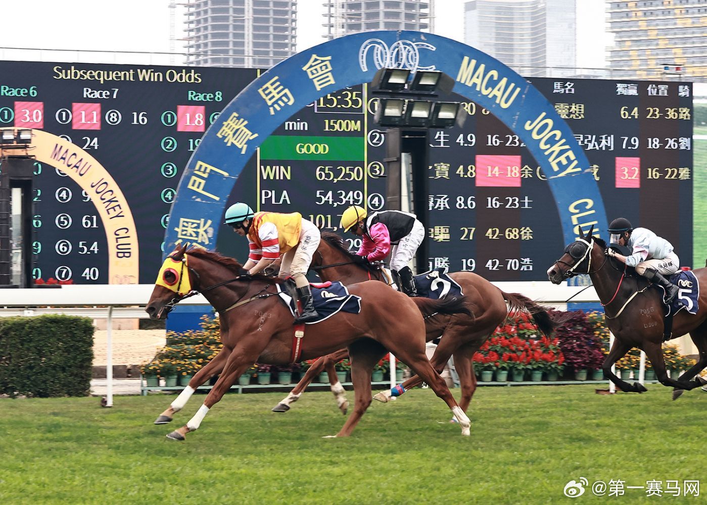澳門馬今天開什么特馬——探索澳門賽馬世界的奧秘，澳門賽馬揭秘，今日特馬探索之旅