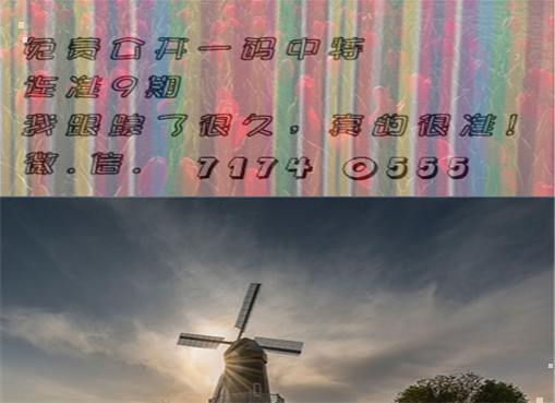 王中王四肖三期必出一期，揭秘彩票背后的秘密策略與技巧，揭秘彩票策略與技巧，王中王四肖三期必出一期之道