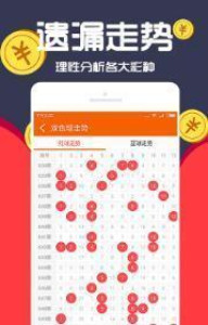 王中王一肖十，深度解析與SEO優(yōu)化策略，王中王一肖十深度解析與SEO優(yōu)化策略探討