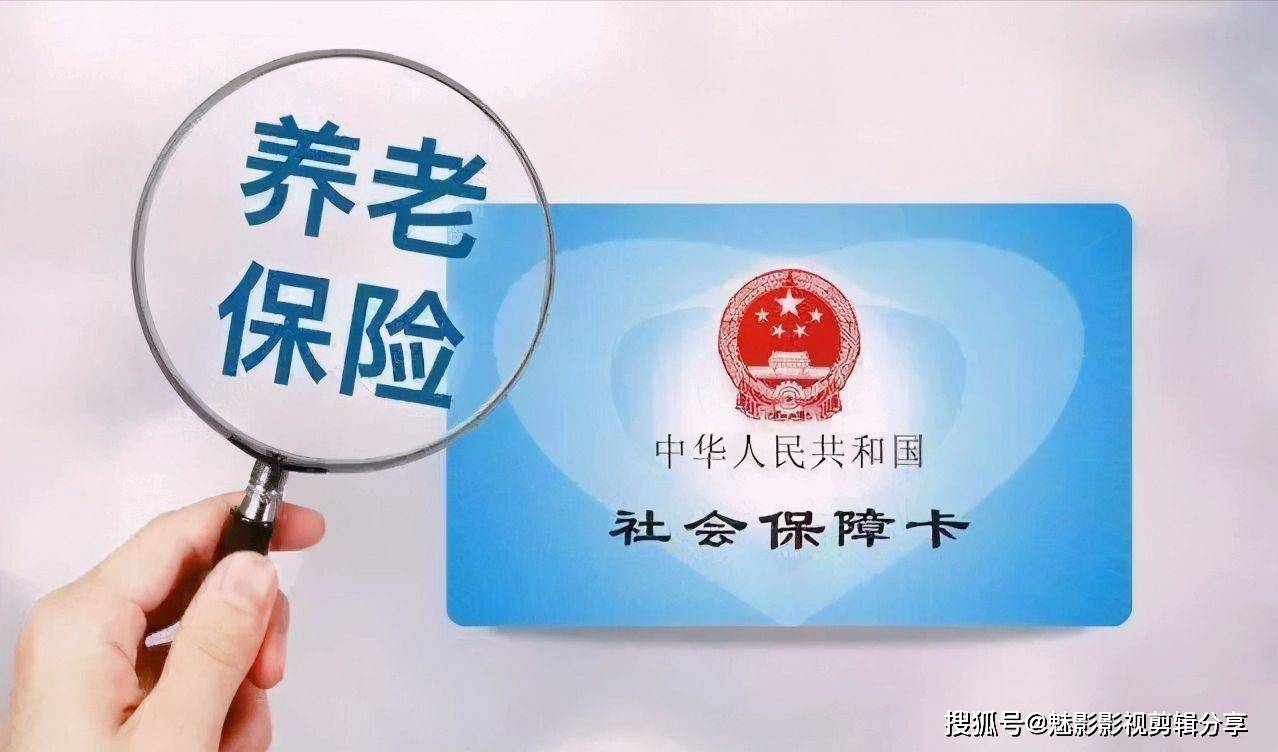 揭秘王中王一期一肖特中獎背后的秘密，王中王一期一肖特中獎背后的秘密揭秘