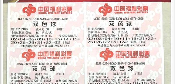 王中王084期指一生肖，解讀背后的秘密與生肖運勢分析，王中王084期生肖揭秘，秘密解讀與運勢展望