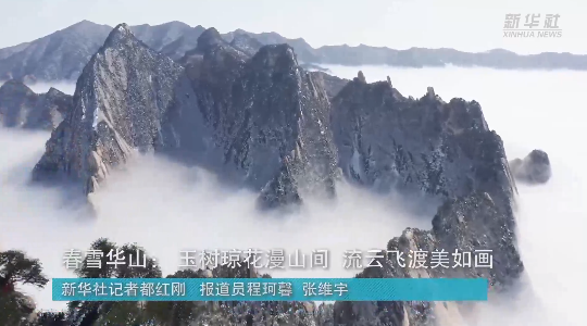 澳門最精準(zhǔn)龍門，探索真正的精準(zhǔn)之道，澳門最精準(zhǔn)龍門，揭秘真正的精準(zhǔn)之道