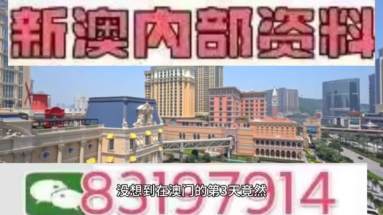 新澳門今晚必開一肖一特，探索生肖與特碼的魅力，澳門生肖特碼探索，今晚必開一肖一特之魅力