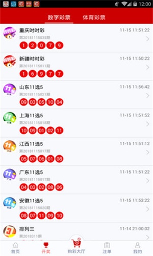 一碼一肖，揭秘背后的秘密與探索其獨(dú)特魅力，揭秘一碼一肖背后的秘密與獨(dú)特魅力探索