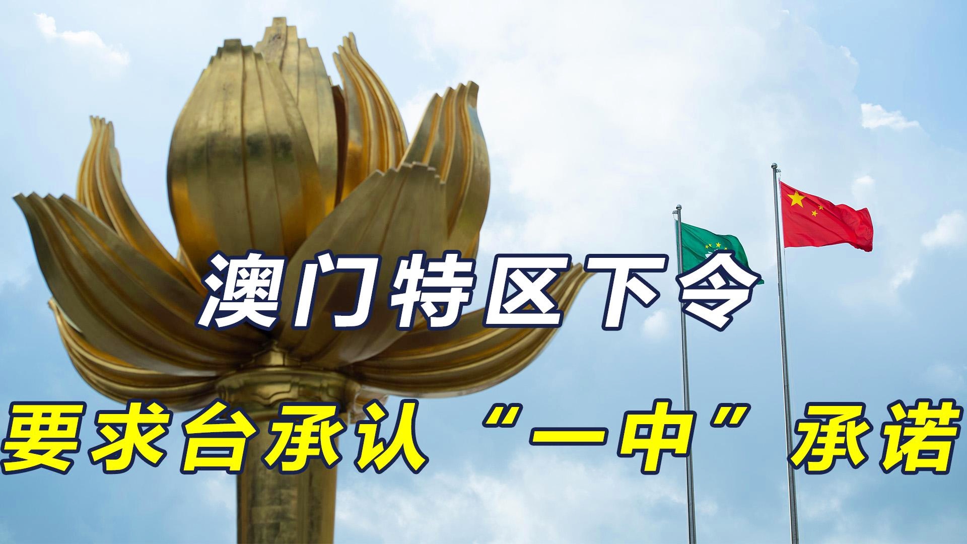 澳門一碼一肖一恃一中312期，揭秘與探索彩票文化背后的秘密，澳門彩票文化揭秘，一碼一肖背后的探索與奧秘
