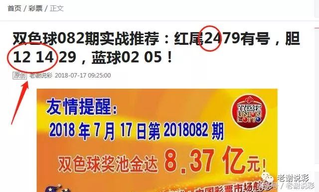 王中王082期指一生肖——探尋生肖魅力，洞悉運(yùn)勢(shì)奧秘，探尋生肖魅力，揭秘運(yùn)勢(shì)奧秘——王中王生肖運(yùn)勢(shì)解析 082期