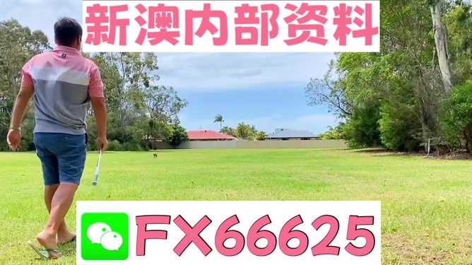 王中王一碼二肖，揭秘背后的秘密，揭秘王中王一碼二肖背后的秘密