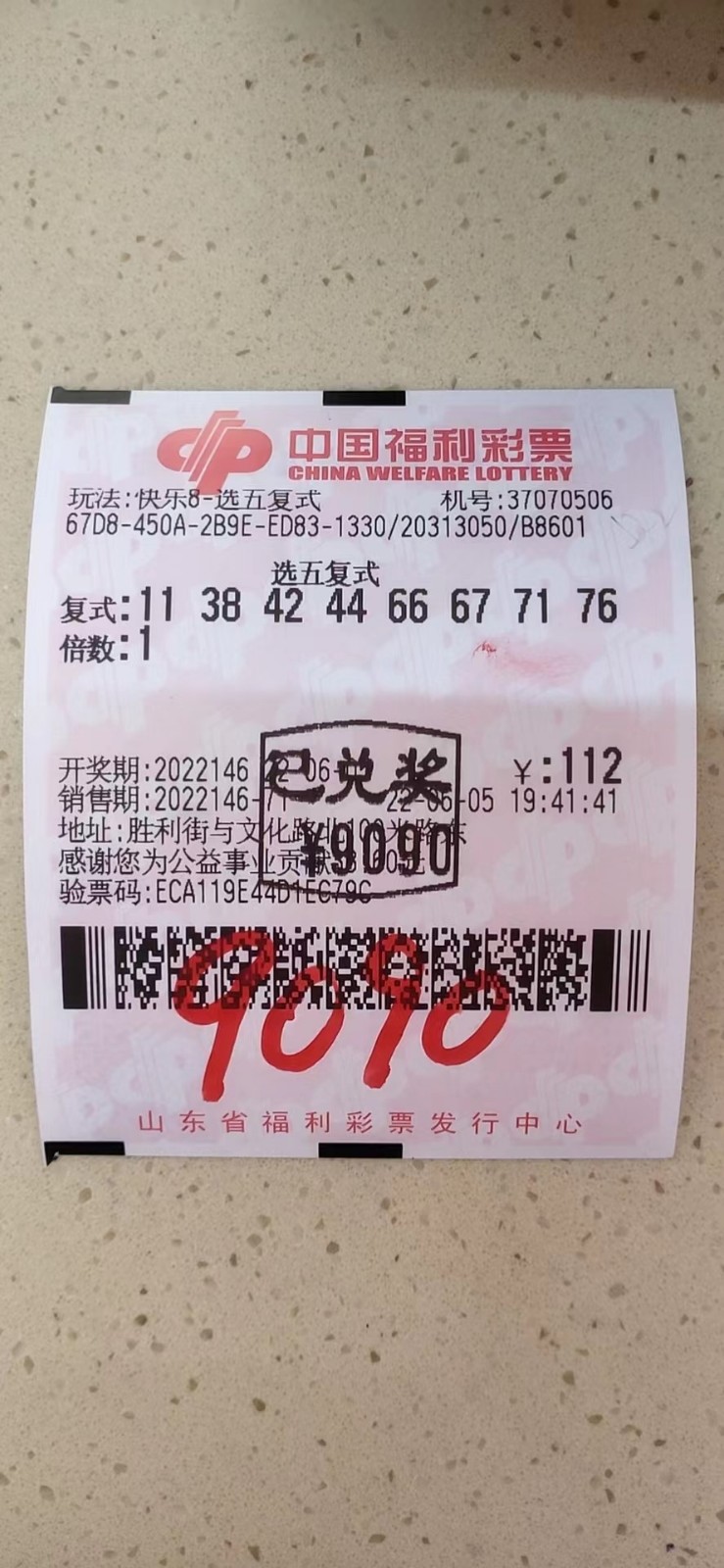 揭秘002期王中王平特一肖，背后的故事與奧秘，揭秘王中王平特一肖背后的故事與奧秘（第002期）