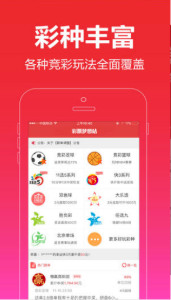 一肖王中王，探尋生肖魅力與SEO優(yōu)化之道，生肖魅力探尋與SEO優(yōu)化策略解析