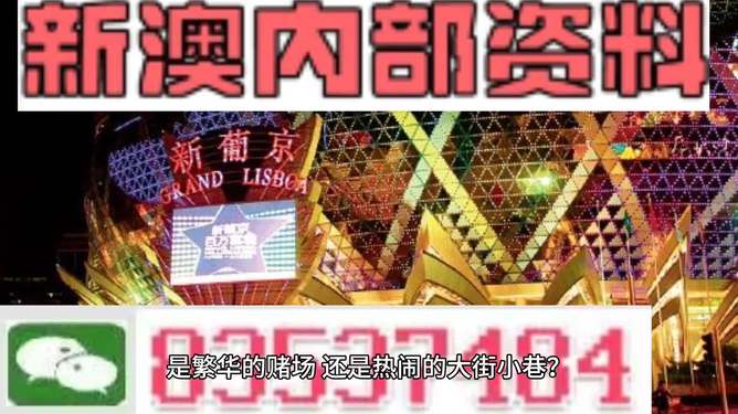 新澳門精準(zhǔn)資料大全管家婆料，探索與解析，澳門精準(zhǔn)資料大全解析，探索管家婆料內(nèi)幕