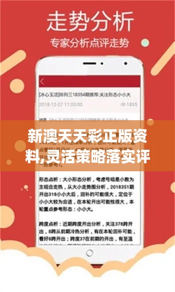 新澳2025年天天開好彩大樂(lè)透——探索彩票夢(mèng)想的新紀(jì)元，新紀(jì)元彩票夢(mèng)想啟航，新澳大樂(lè)透2025年天天開好彩