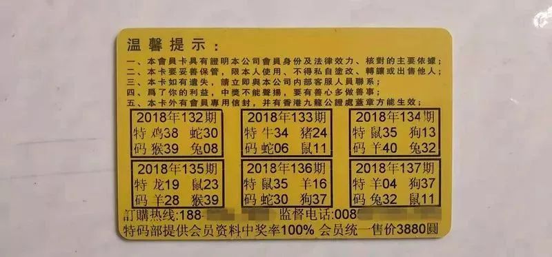香港中特期期準(zhǔn)資料，深度解析與探索，香港中特期期準(zhǔn)資料深度解析與探索報(bào)告