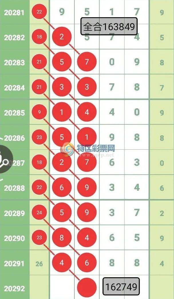 王中王彩票查詢精選號(hào)碼，探索彩票背后的秘密與策略，王中王彩票查詢，揭秘精選號(hào)碼背后的秘密與策略
