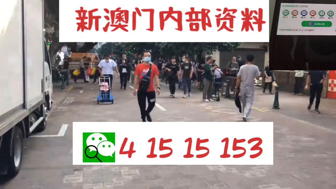 澳門管家婆一馬一中一開，揭秘背后的秘密與策略，澳門管家婆一馬一中一開，揭秘背后的秘密與策略揭秘背后的秘密與策略