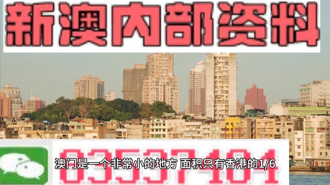 澳門精準資料大全免費，探索與解析，澳門精準資料大全免費解析探索