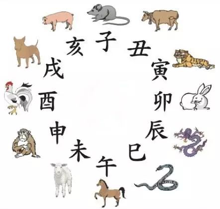澳門(mén)天天彩期期精準(zhǔn)十二生肖預(yù)測(cè)——揭秘彩票秘密，澳門(mén)天天彩期期精準(zhǔn)十二生肖預(yù)測(cè)，揭秘彩票秘密之獨(dú)家解析