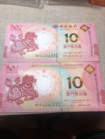 揭秘明天澳門(mén)必中生肖的神秘面紗，揭秘明天澳門(mén)必中生肖的神秘秘密