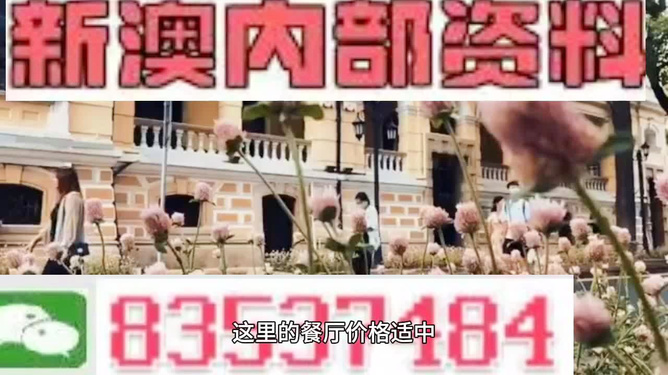 新澳門，探索最精準(zhǔn)、最快的信息更新速度，新澳門，追求最快速、精準(zhǔn)的信息更新之道
