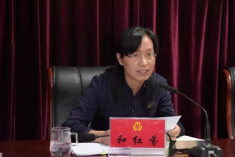 二四六香港期期中的資料解析與SEO優(yōu)化策略，香港期期二四六資料解析與SEO優(yōu)化策略探討