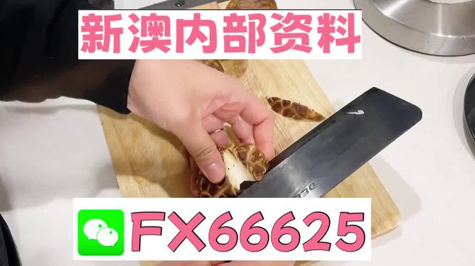 澳門九點(diǎn)半9點(diǎn)半網(wǎng)站——探索其魅力與優(yōu)勢(shì)，澳門九點(diǎn)半網(wǎng)站，魅力與優(yōu)勢(shì)探索