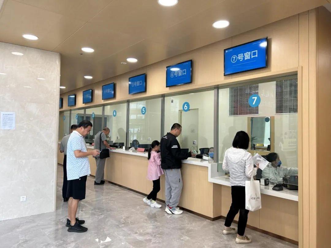 新門內(nèi)部資料免費下載——探索與揭秘，新門內(nèi)部資料揭秘，免費下載與探索之旅