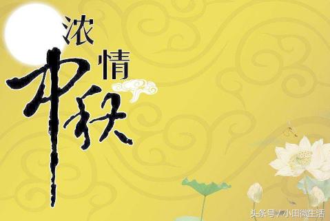 天天開好彩免費資料大全——你不可錯過的幸運之門，天天開好彩免費資料大全——開啟幸運之門的必備指南