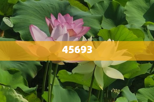 全新升級，7777888888精準(zhǔn)新管家，全新升級管家，精準(zhǔn)管理，一站式服務(wù) 7777888888新管家重磅來襲