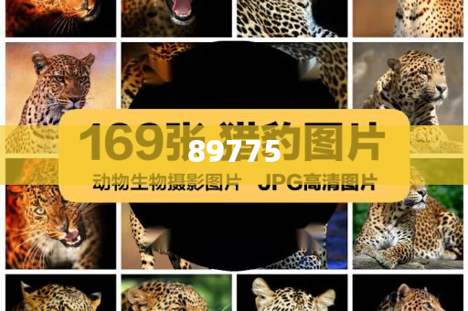 關(guān)于新奧歷史開獎記錄的最新信息，今天公布了嗎？，新奧歷史開獎記錄最新信息公布了嗎？