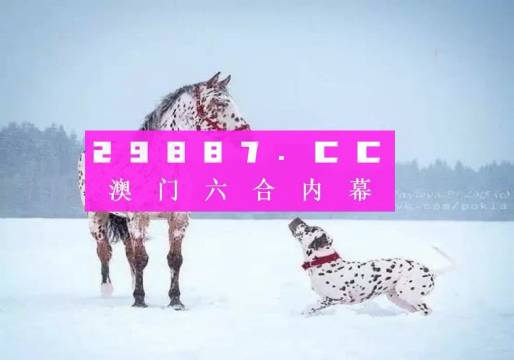 澳門一肖一碼狀元紅，揭秘彩票背后的秘密與策略，澳門彩票揭秘，狀元紅背后的秘密與策略解析
