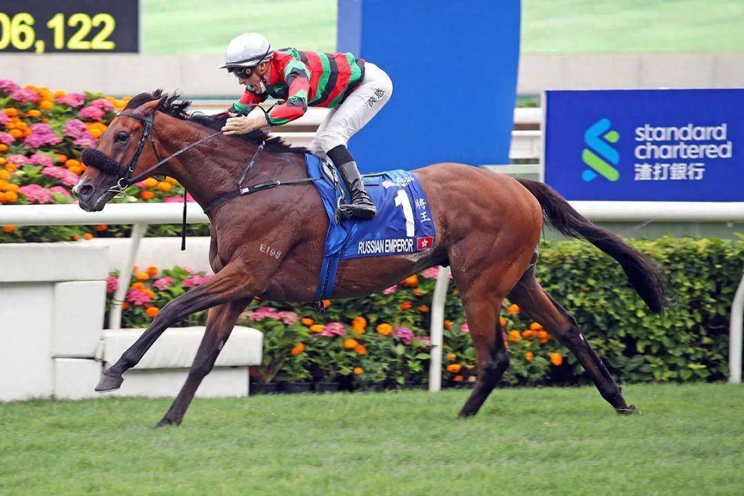 香港馬賽事，探索數(shù)字背后的激情與榮耀 7777788888，香港馬賽事，數(shù)字背后的激情與榮耀