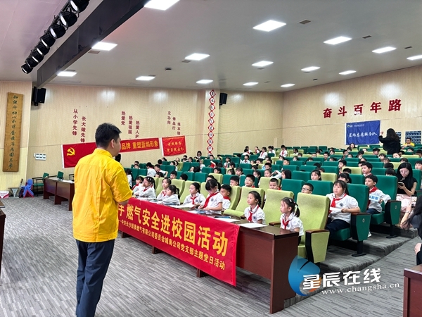 新奧49正版資料，探索與解析，新奧49正版資料深度探索與解析