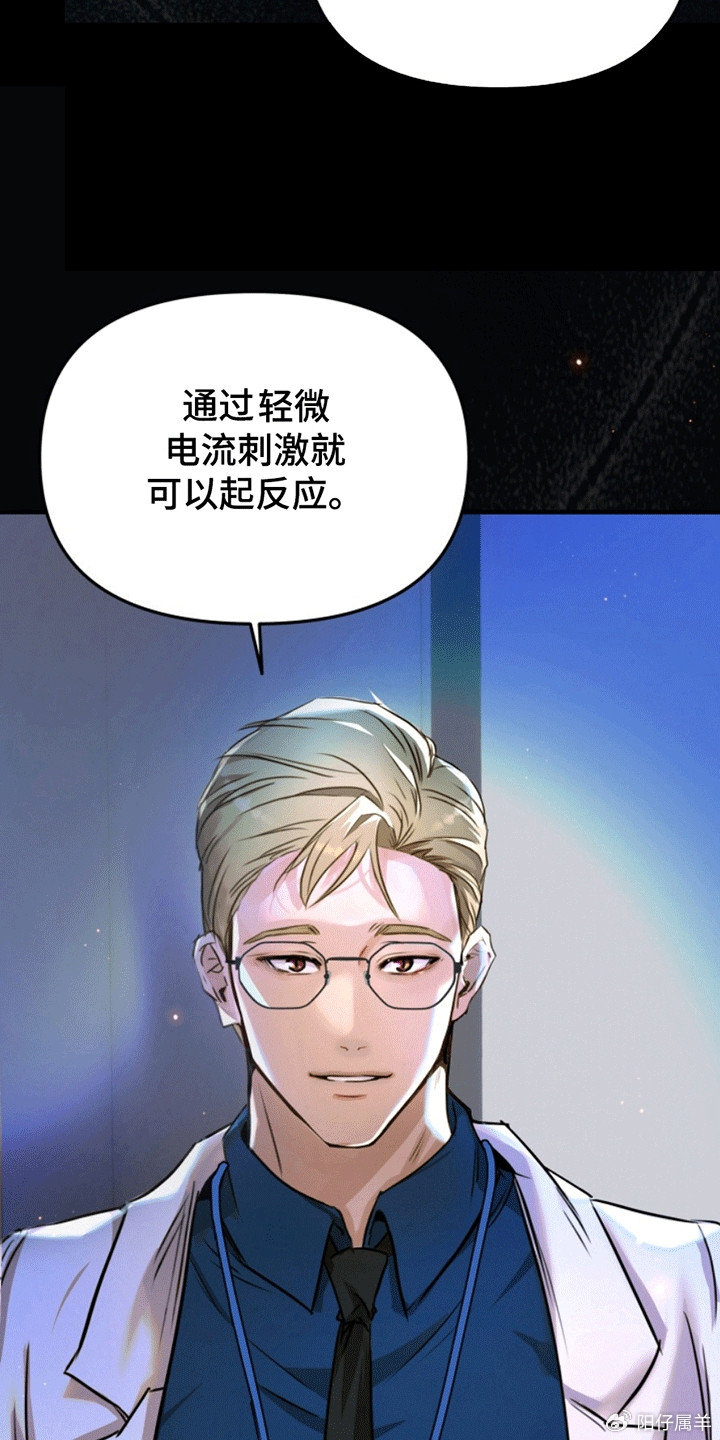 夜間診療室韓漫免費(fèi)，探索醫(yī)療與娛樂(lè)的新領(lǐng)域，夜間診療室韓漫免費(fèi)，醫(yī)療與娛樂(lè)的新領(lǐng)域探索
