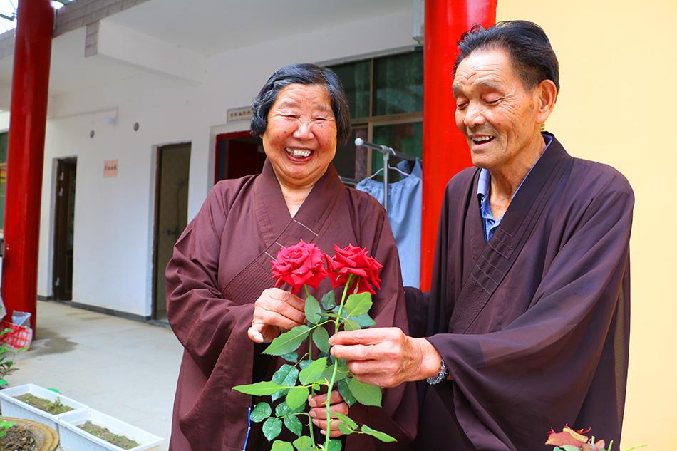 揭秘最準(zhǔn)一碼一肖，揭秘背后的秘密與真相，鳳凰網(wǎng)獨(dú)家報(bào)道，獨(dú)家揭秘，最準(zhǔn)一碼一肖背后的秘密真相（鳳凰網(wǎng)報(bào)道）