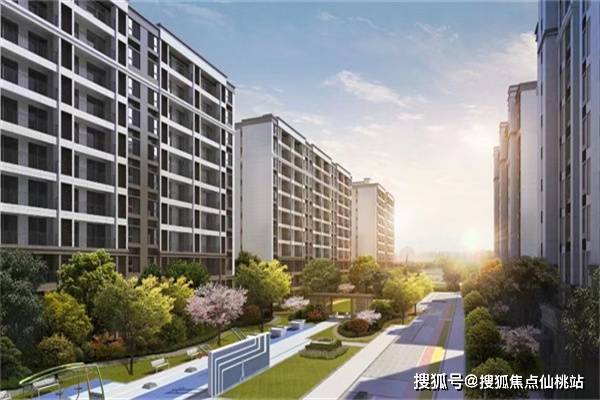 新澳2025最新資料解析