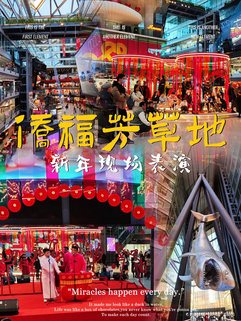 最新揭秘，2024新澳芳草地全方位資料詳解，揭秘2024新澳芳草地全方位資料，最新詳解