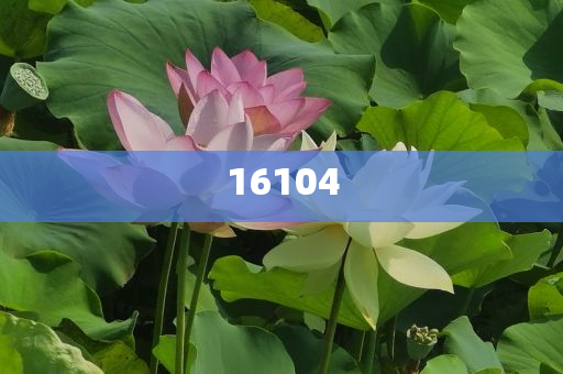 新奧600圖庫2025，探索與前瞻，新奧600圖庫2025，深度探索與未來展望