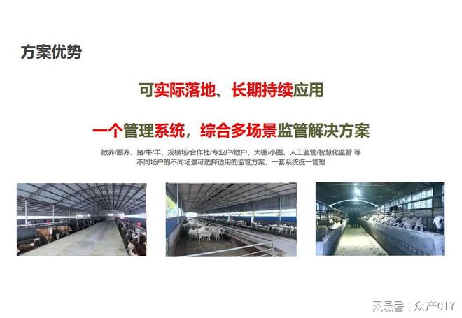 探索新澳芳草地，正版資料的免押之旅（2025年最新資訊），探索新澳芳草地，正版資料免押之旅（最新資訊）